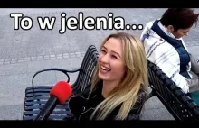 Best of uliczny trolling - Jeleniejaja 2016