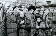 Powstania w obozach koncentracyjnych