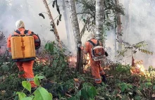 Brazylia nie gasi pożaru Amazonni- bo ich nie stać