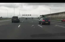 Głąb na autostradzie