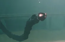 Oto robotyczny wąż, który pływa tak jak prawdziwy
