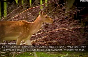 Abp Głódź zgromadził majątek wart miliony zł. Egzotyczne zwierzęta w posiadłości