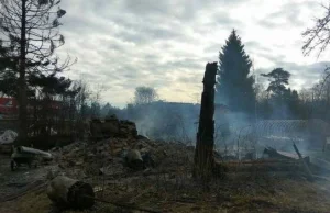 Pijany Rosjanin po zamachu w Petersburgu spalił swoją wioskę i naodwalał więcej