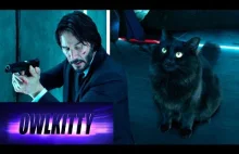 A gdyby John Wick miał kota?