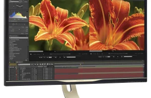 32-calowy monitor PHILIPS z matrycą IPS i rozdzielczością 4K