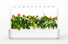 Premiera Smart Garden 9 – nowy produkt w technologii Click & Grow - DecoDom