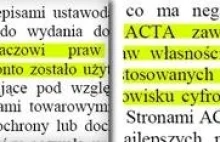 Ukraińska milicja zamknęła największy piracki serwis internetowy