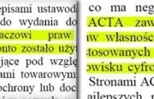 Ukraińska milicja zamknęła największy piracki serwis internetowy