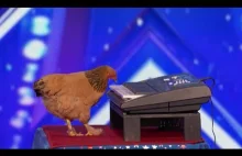 Jokgu, kurczak grający na keyboardzie w amerykańskim Mam Talent