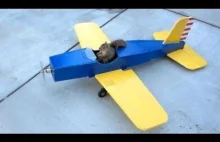 Wiewiórka kradnie samolot