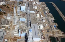 Wokół elektrowni Fukushima leży tysiąc ciał