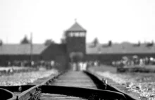 Auschwitz. Miejsce męczeństwa ponad miliona ludzi