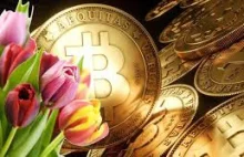 Bitcoin: spekulacyjna bańka na miarę holenderskiej tulipomanii z XVI wieku