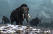Spowodowała 1400-letnią zimę, przez nią zginęły mamuty i nieomal ludzie.
