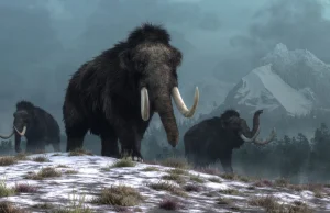 Spowodowała 1400-letnią zimę, przez nią zginęły mamuty i nieomal ludzie.