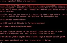 W cyberataku NotPetya nie chodzi o pieniądze, chodzi o globalną politykę