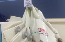 Tesco zakłada zabezpieczenia antykradzieżowe na reklamówki po 10 pensów za szt..