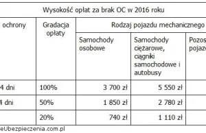 Kara za brak ubezpieczenia OC w 2016 roku