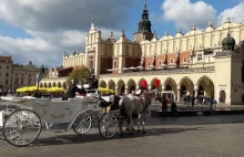 Kraków z powodu upałów zamknął postój dla koni na Rynku Głównym