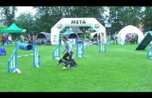 Agility -Lolo Pets Classic Cup- Competition in Poland # 18