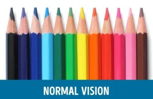 Jak ludzie z różnymi typami daltonizmu widzą świat? (FOTO)