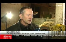 Łotwa uratowana! Łotewska TV podała: "Ziemniaków wystarczy do kolejnych zbiorów"