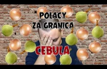 POLACY ZA GRANICĄ - SIĘ OGLĄDAŁO #6