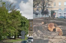 Poznań: wycięto drzewa przy ulicy Głogowskiej na Łazarzu, aby urządzić skwer
