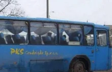 Ścigał uciekający autobus PKS. Otrzyma finansową rekompensatę