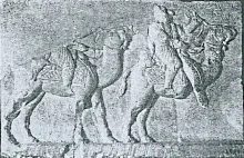 Starożytne oddziały specjalne? Dromedarii w armii rzymskiej w II wieku n.e.