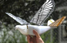 Chiny testują drony obserwacyjne przypominające ptaki [ENG]