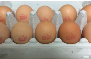 Uwaga! Partie jaj wycofywane ze sprzedaży. Powodem salmonella