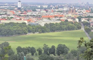 Ze smogiem lepiej rozprawią się drzewa i trawa niż kosztowny mech [WIDEO