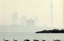 Toronto miasto bez smogu.