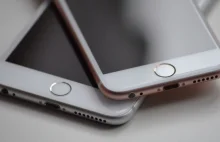 Masz problem z ekranem w iPhone 6 Plus? Apple pomoże, ale nie za darmo