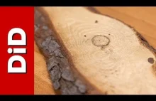 Kompendium wiedzy o drewnie: sosna