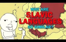 Języki Słowiańskie | Dlaczego są takie podobne do siebie?