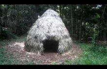 Budowa chatki w lesie deszczowym
