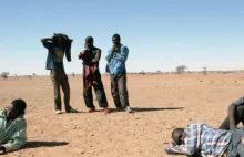 20 tys. migrantów uratowanych na pustyni Sahara