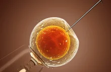 Brytyjscy naukowcy otrzymali zgodę na manipulacje przy ludzkich embrionach [ENG]
