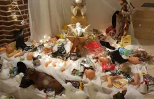 Szopka ze śmieci w parafii Świerże Górne wkurzyła wiernych