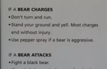 Jeśli niedźwiedź zacznie cię jeść...