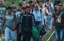 Rząd Węgier: 70.000 migrantów zmierza z Bałkanów w kierunku Europy.