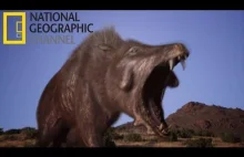 Prehistoryczna świnia - Enteledont - Świnia zabójca [film]