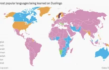 Użytkownicy Duolingo w Szwecji najczęściej uczą się... języka szwedzkiego