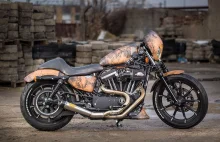 Bitwa Królów 2016 – wybierz Króla Custom Harley-Davidson