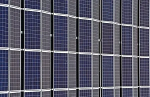 Elektrownie słoneczne w cenie. Kto zbije na tym majątek?