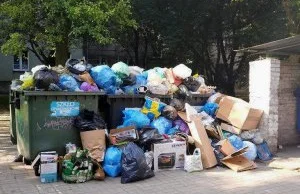 Opłata za wywóz śmieci w Czechach i Polsce