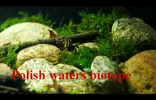 Akwarium 30 litrów z biotopem polskiej rzeki