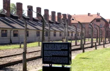 Niesienie polskiej flagi narusza porządek uroczystości w Auschwitz-Birkenau?